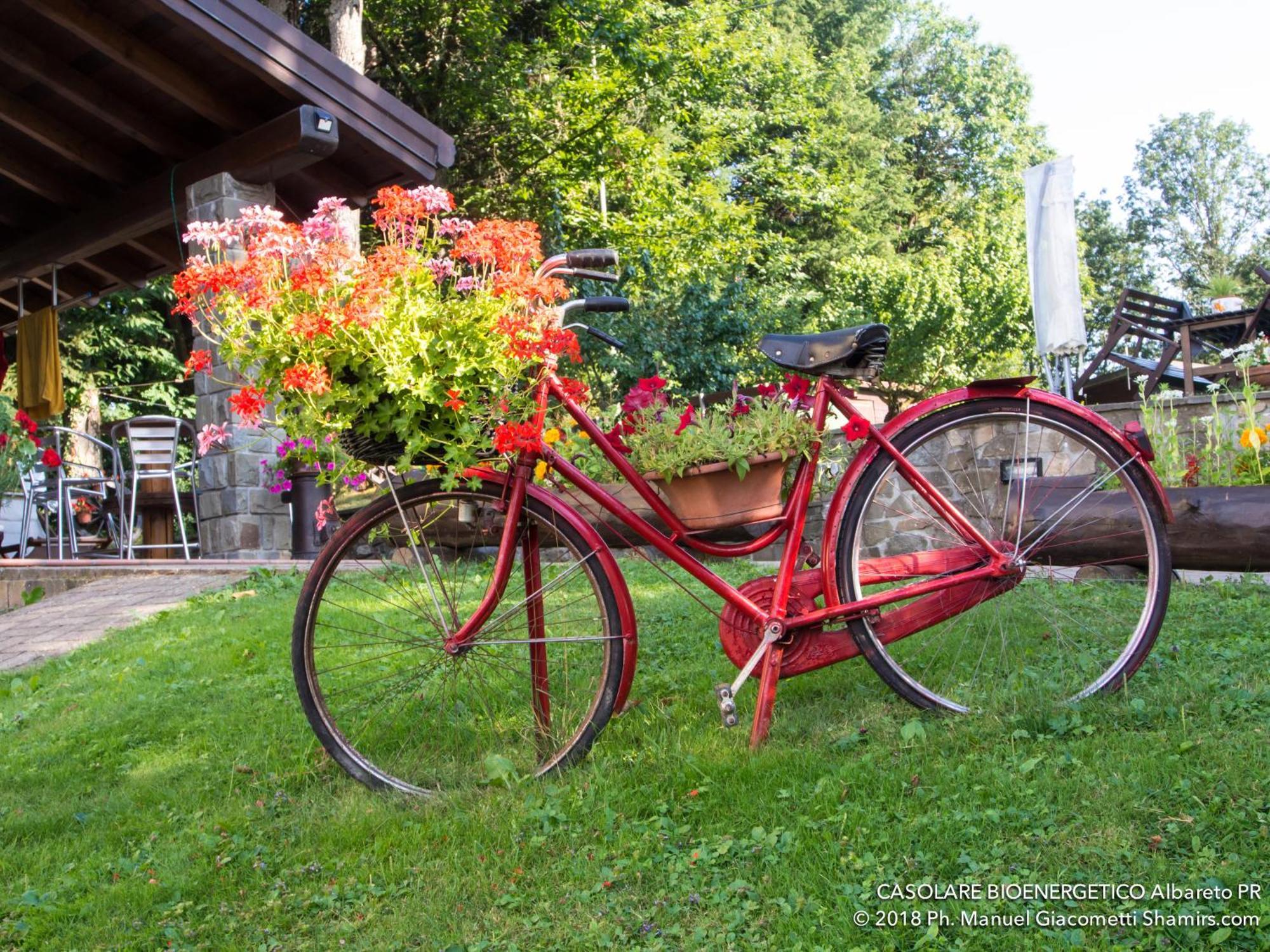 Albareto  Il Casolare Bioenergetico Bed & Breakfast エクステリア 写真